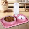 Detachable Automatic Pet Cat Feeder Stainless Steel 2in1 Pet Food Dispenser  Pet Supplies