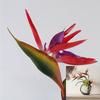 Wedding Decor Strelitzia Reginae Bird Of Paradise Fake Plant Artificial Flower
