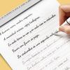 Learning Spanish/Chinese Books Calligraphy Copybook Standard Spanish Handwriting Copybook Practice Writing Art Libros