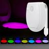LED Lighting - CHANGM - WC Night Light - 7 Colors - IP65 - For Children