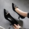 Spring and Autumn New Temperament High Heels Stiletto Pointed Professional Shoes Work Shoes for Women