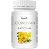 Lodinovan – Maintaining Psycho-emotional Balance: 30 Capsules