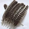 Real Natural Eagle Feathers For Crafts 16-18"/20-40Cm Eagle Bird Feather Decor Wedding Decoration Carnival Accessories
